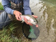 Still Water Fly Fishing in Trentino