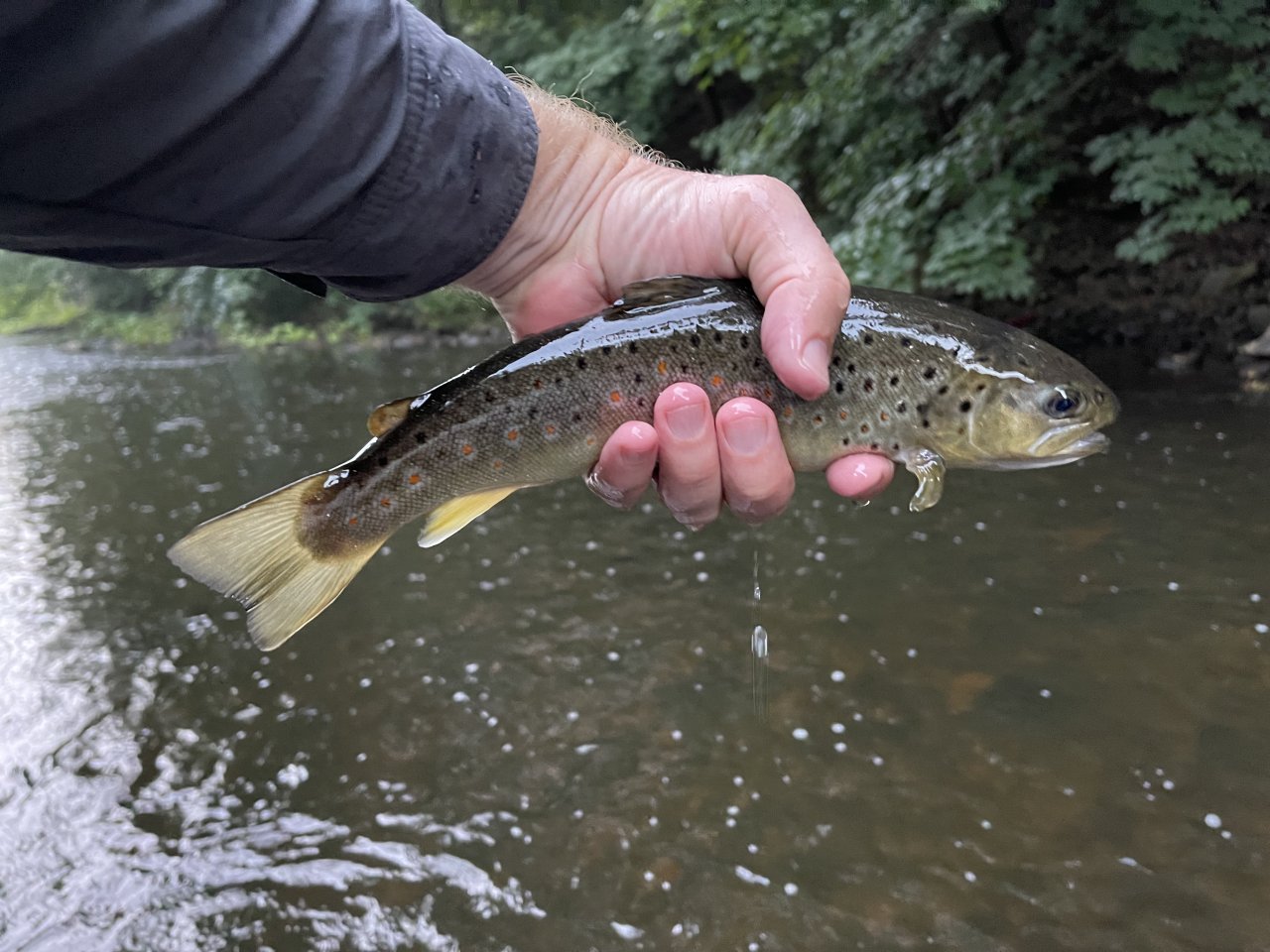 Tepl� river in Karlovy Vary