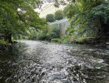 Teplá river in Karlovy Vary