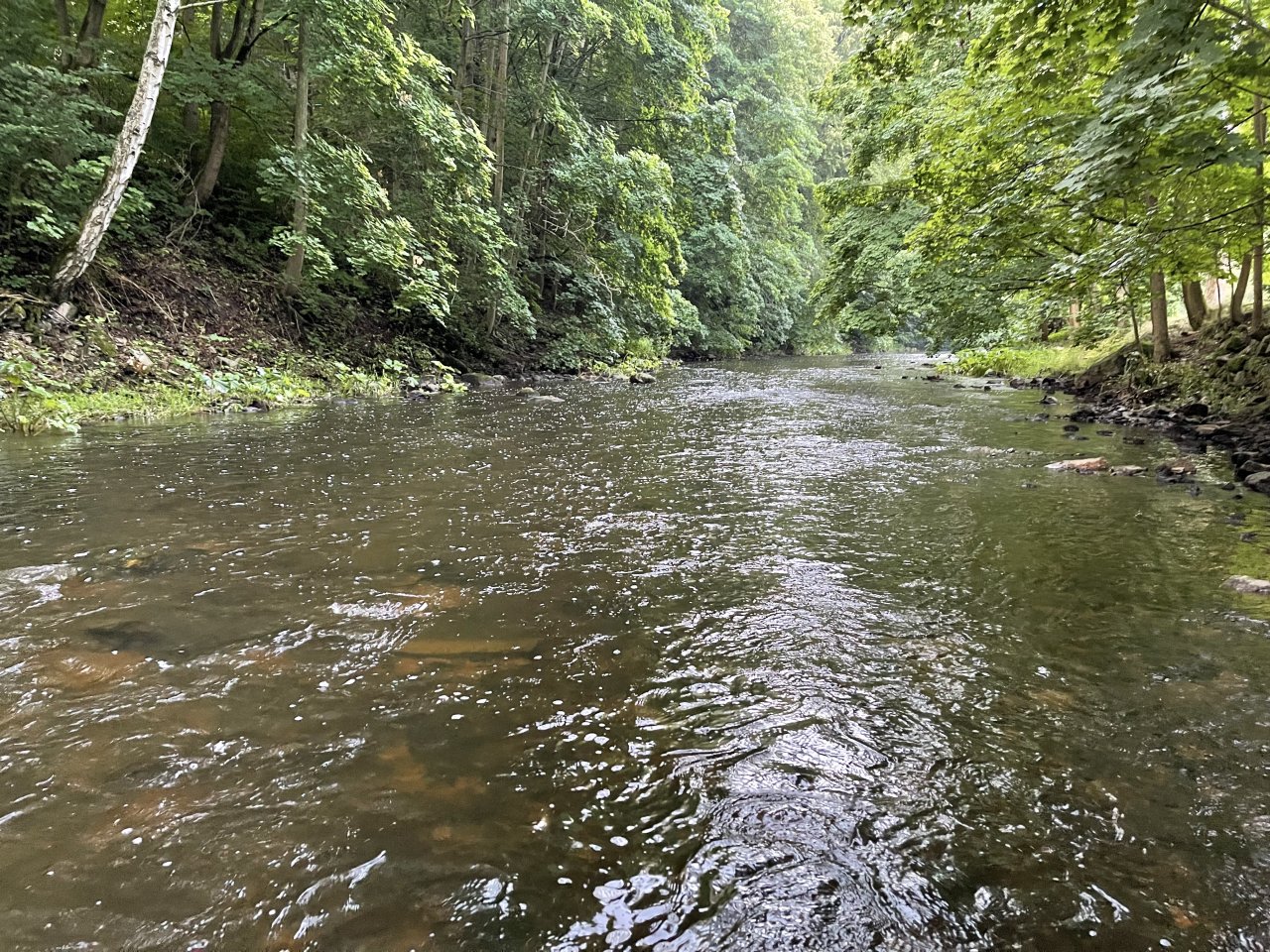 Tepl� river in Karlovy Vary