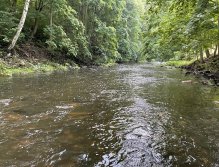 Teplá river in Karlovy Vary