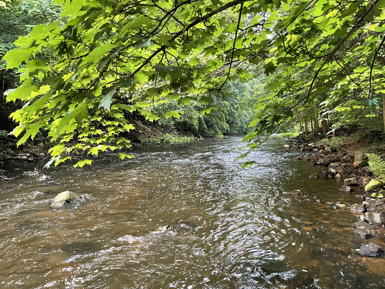 Tepl� river in Karlovy Vary