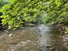 Teplá river in Karlovy Vary