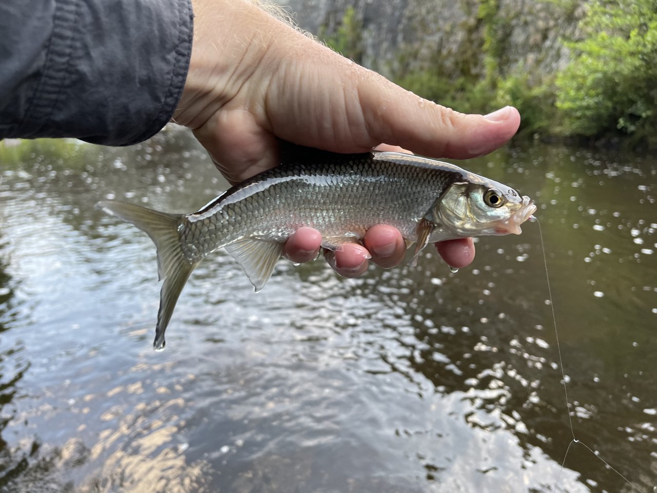 Tepl� river in Karlovy Vary