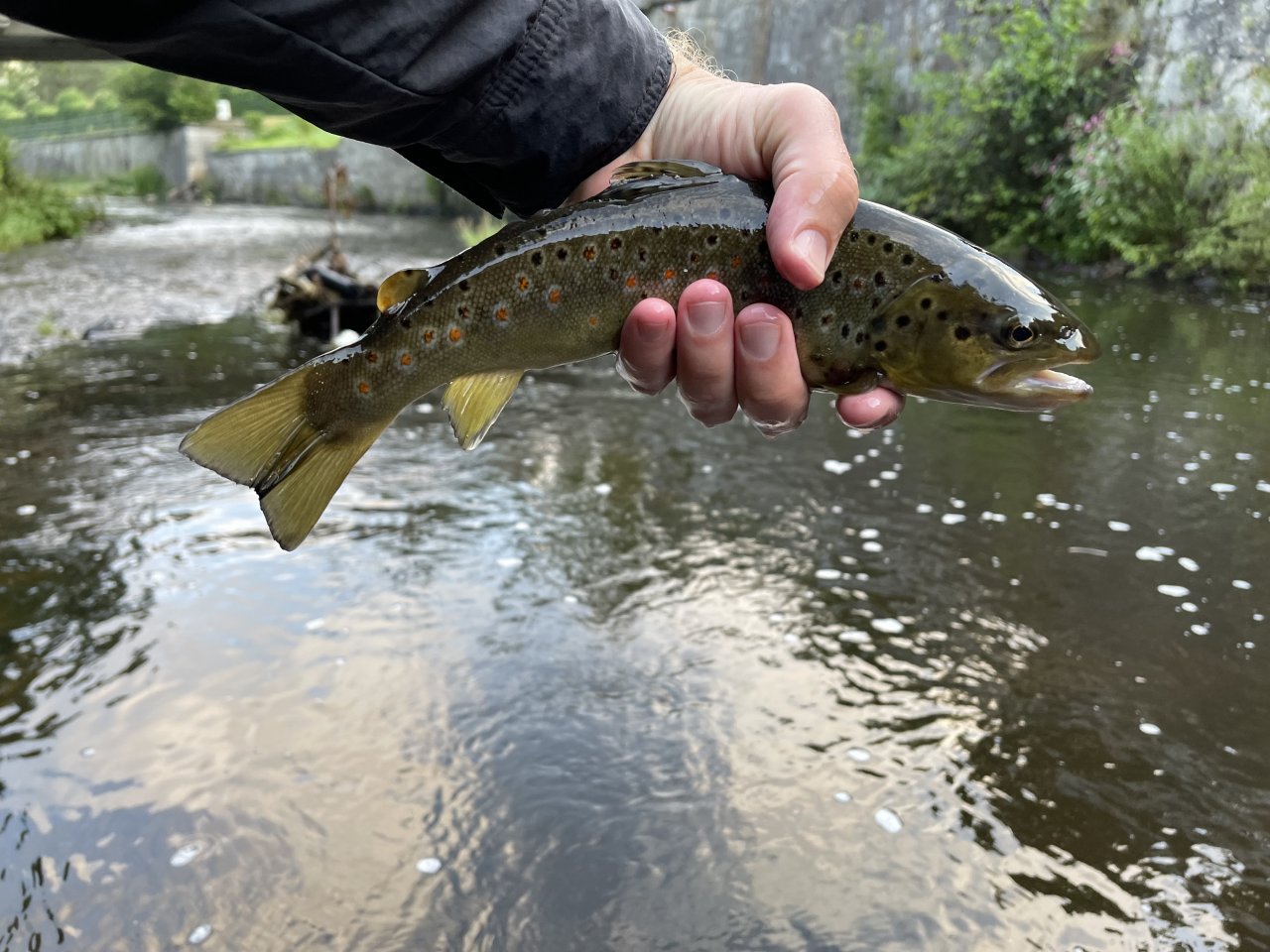 Tepl� river in Karlovy Vary