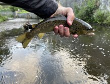 Teplá river in Karlovy Vary