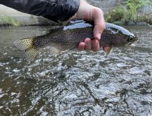 Teplá river in Karlovy Vary