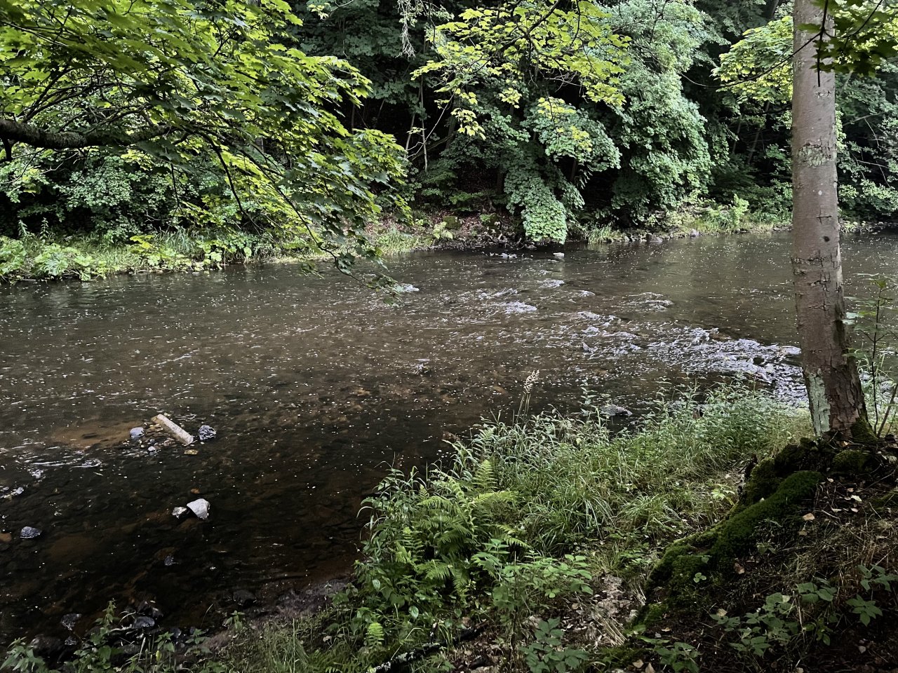 Tepl� river in Karlovy Vary