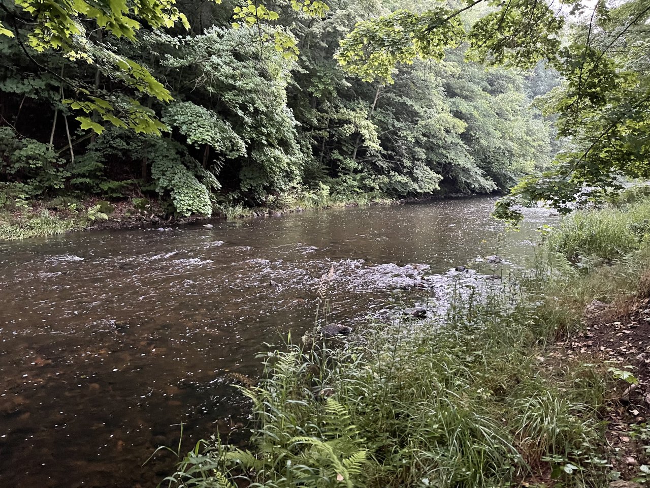 Tepl� river in Karlovy Vary