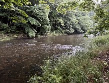 Teplá river in Karlovy Vary