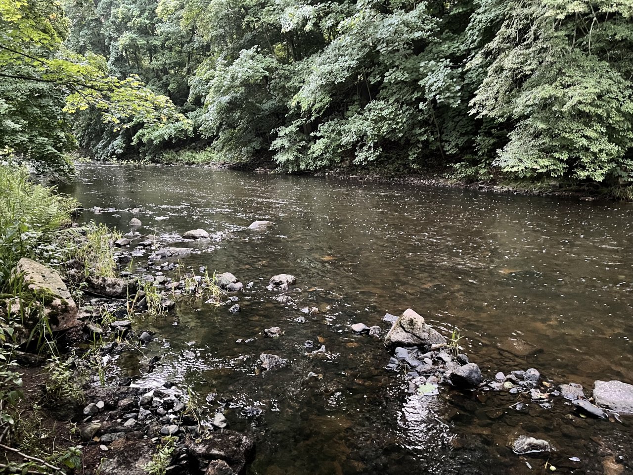 Tepl� river in Karlovy Vary