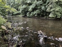 Teplá river in Karlovy Vary
