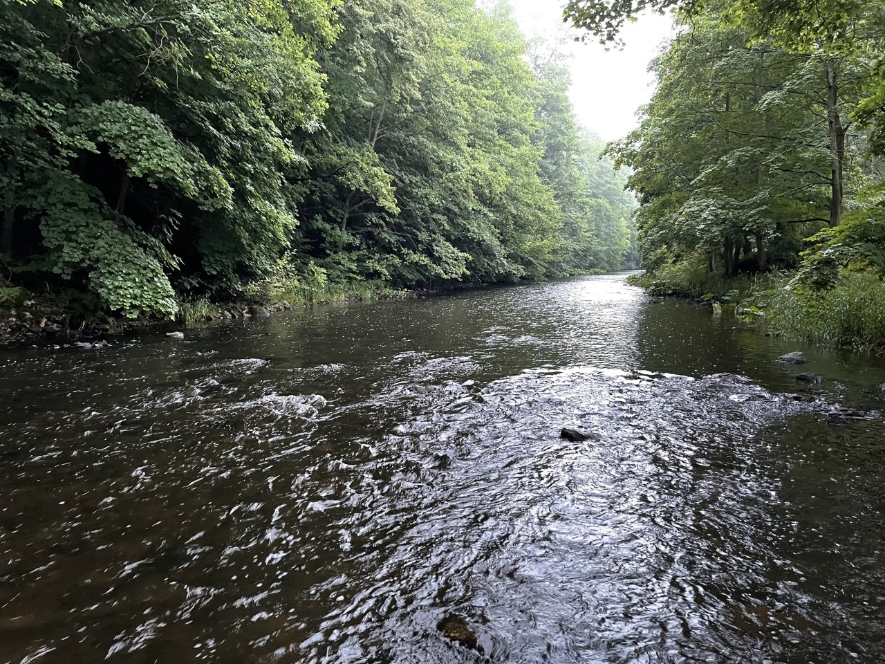 Tepl� river in Karlovy Vary