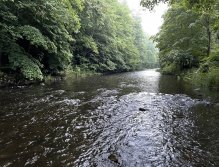 Teplá river in Karlovy Vary