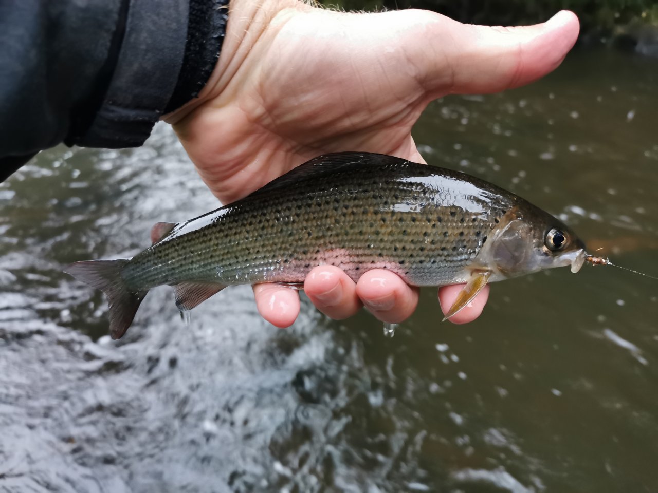 Tepla in Brezova near Karlovy Vary