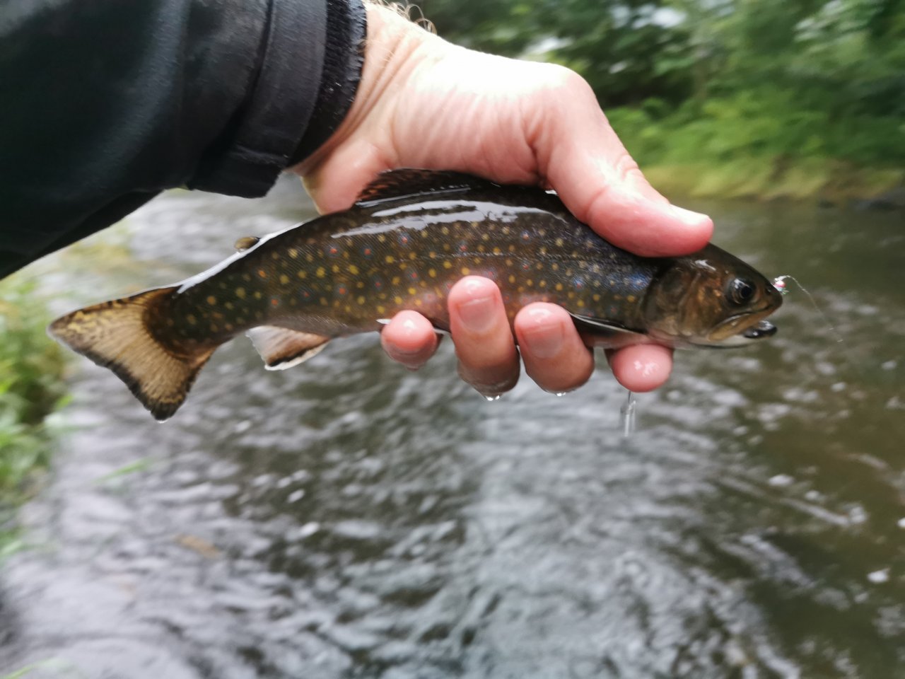 Tepla in Brezova near Karlovy Vary
