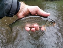 Tepla in Brezova near Karlovy Vary