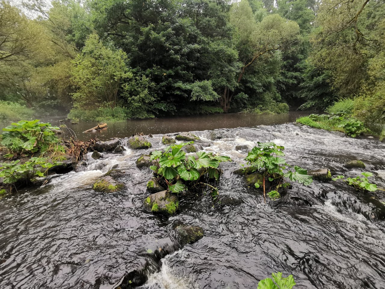 Tepla in Brezova near Karlovy Vary
