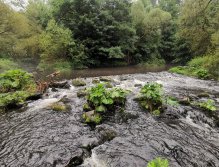 Tepla in Brezova near Karlovy Vary