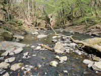 Zbirosk stream near Skryje