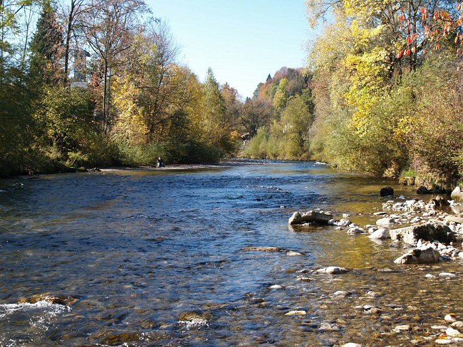 German Traun in Siegsdorf