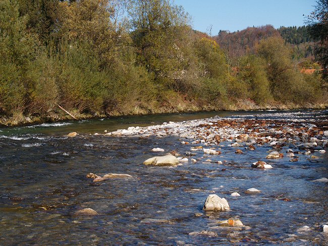 German Traun in Siegsdorf