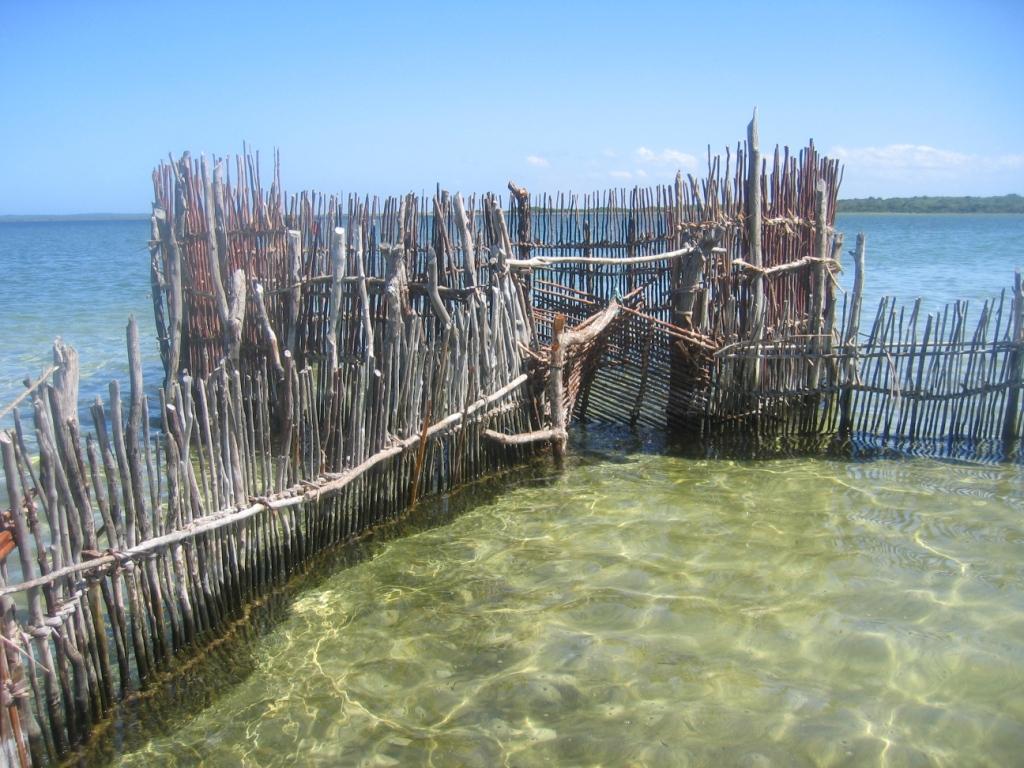 Kosi Bay traditional fishtrap.