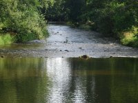 World Youth FF Championship 09 -II