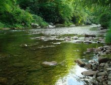Placid waters, summer on Raven's Fork