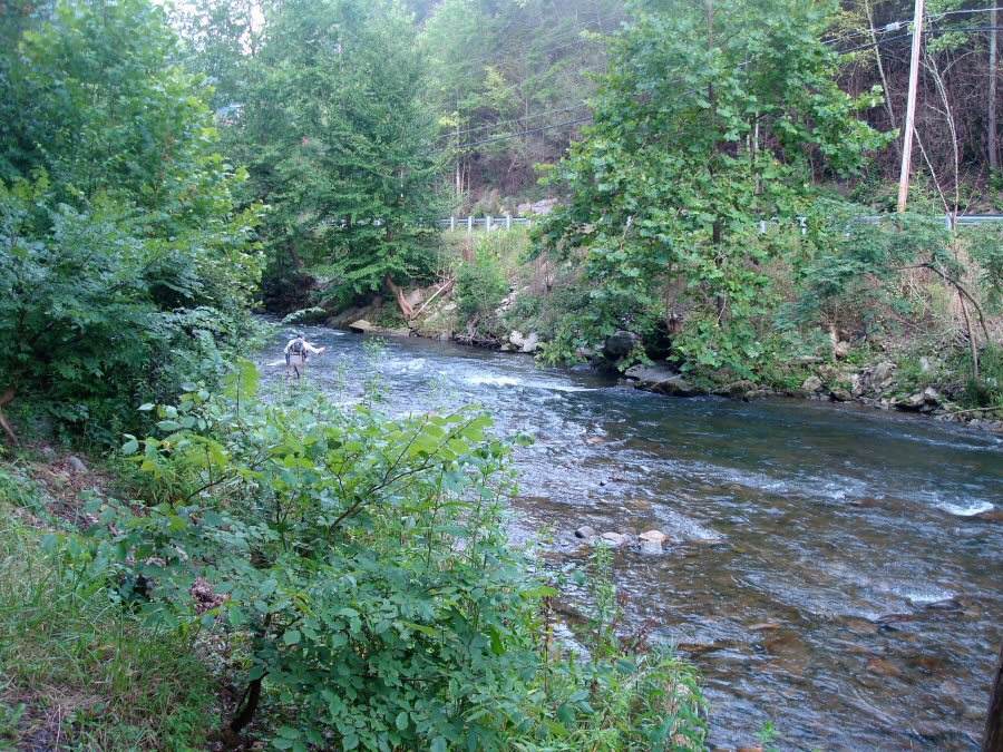 Nymphing expert Steve "NightCrawler" Patterson fishing early morning from the campsite, Raven's Fork
