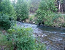 Nymphing expert Steve "NightCrawler" Patterson fishing early morning from the campsite, Raven's Fork