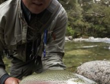 Rainbow, Backcountry New Zealand