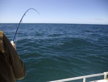 12wt connected to a Big Blue