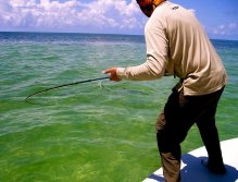 Tarpon,Key west, Photo Eric Wonhoff