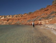 Chasing Goldies in W.A -Australia