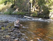 Author landing small brownie