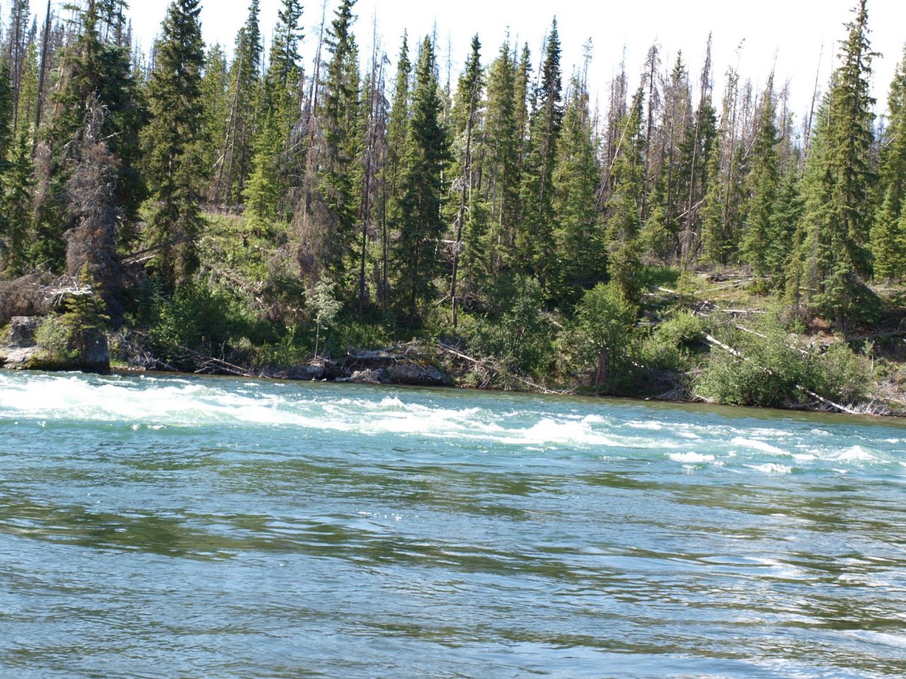 Nice seam to fish under the Redfern Rapids