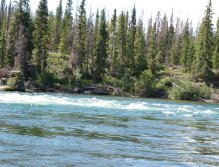 Nice seam to fish under the Redfern Rapids