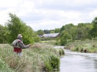Denmark Grayling Rivers