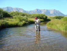 Fisherman catching cutthroat trout in small prairie stream