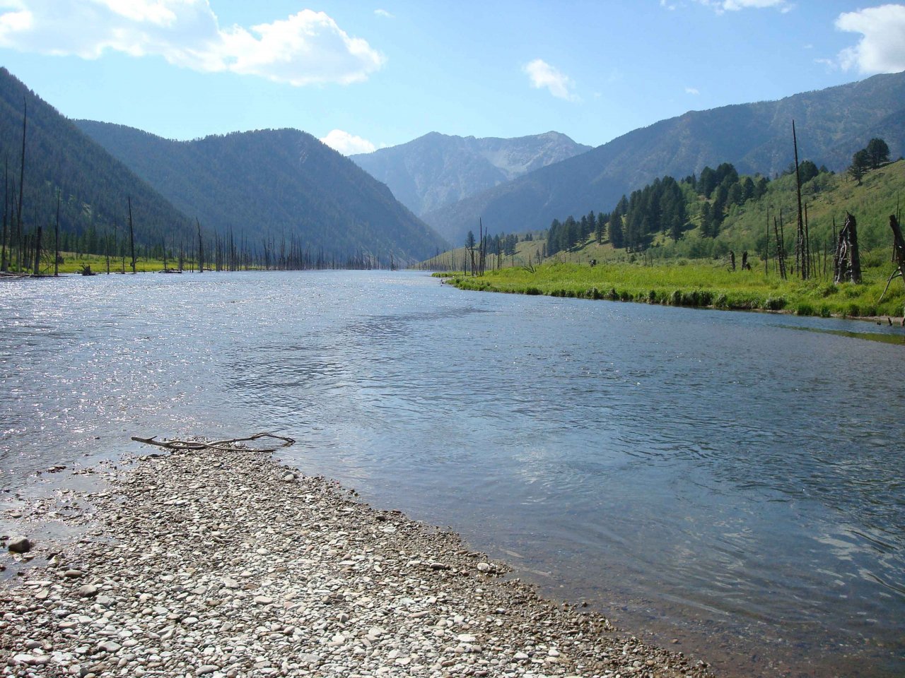 Madison River flowing into Quake Lake