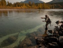 Sight casting for Whitefish