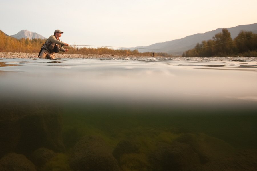 Zeroing in on a Fish