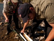 Measuring a Beautiful Cutthroat Trout