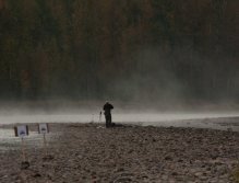 The Morning fog makes the Elk even more Beautiful