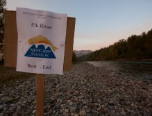 Beat Posting for the 2009 CFFC