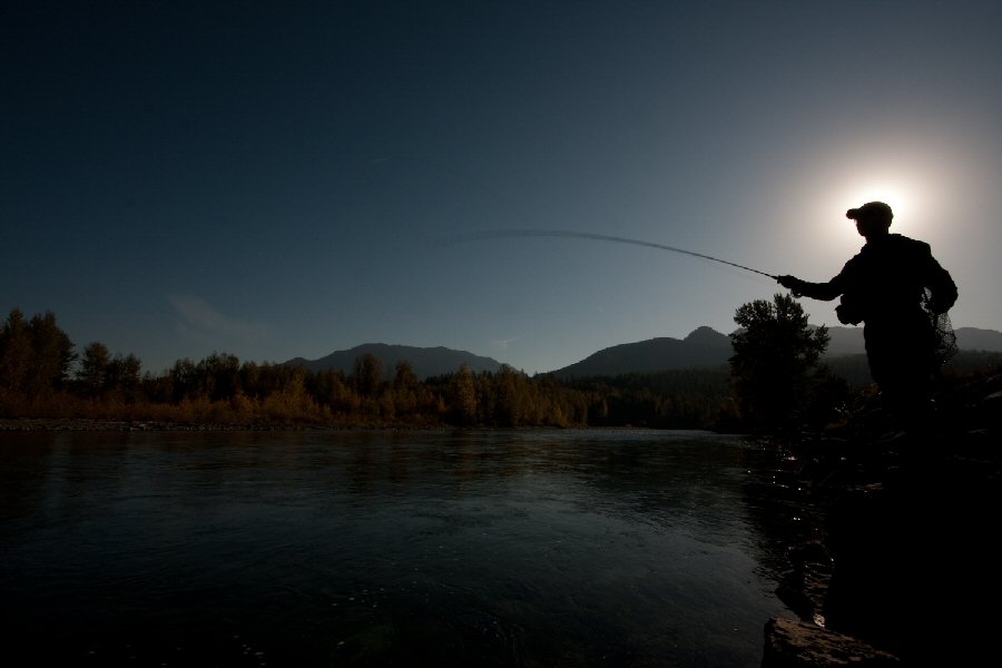 High sticking from shore 