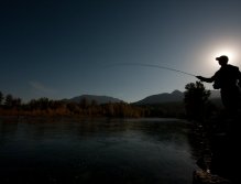 High sticking from shore