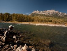 Staying low and Focused