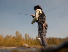 High Sticking on the Elk